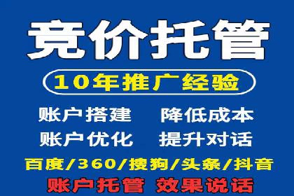 百度推广案例：精准广告投放策略解析